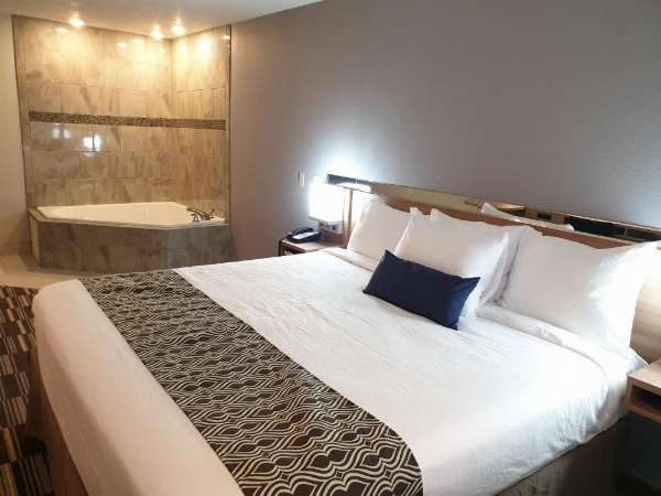 Microtel Inn & Suites by Wyndham Augusta Riverwatch image 13